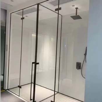 Bathroom Shower Door